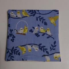 現品限り！インコちゃんコースター♪のサムネイル