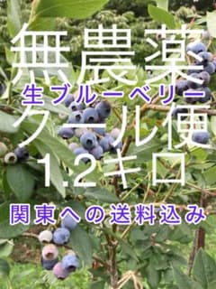 ⬛︎生ブルーベリー⬛︎１.2キロ⬛︎クール便のサムネイル