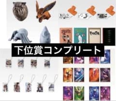 [제일 복권] NARUTO-나루토- 질풍전 하위상 컴플리트 세트