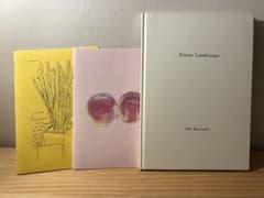 ☆ 黒坂麻衣　作品集「Silent Landscape」　小冊子２冊 ☆ 黒坂麻衣 作品集「Silent Landscape」 小冊子2冊 - メルカリ