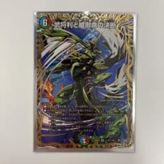 パーフェクトビクトリー シク 一枚 デュエルマスターズ - メルカリ