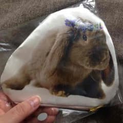 MOMO様専用♡earthポーチのサムネイル