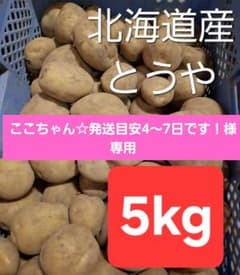 北海道産　新じゃが　とうや　じゃがいも　産地直送！のサムネイル