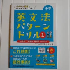 小学英文法パターンドリル 1 be動詞・一般動詞・疑問詞・canの文のサムネイル