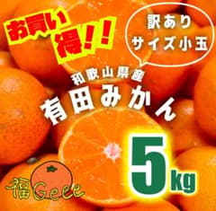 10訳あり 和歌山県産有田みかん サイズ小玉 5kgのサムネイル