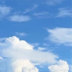 ちた様専用のサムネイル
