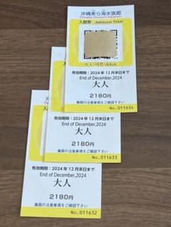 沖縄美ら海水族館　入館券　大人3枚のサムネイル