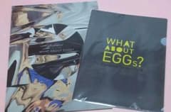 flumpool EGG パンフレット クリアファイル付きのサムネイル