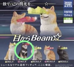 目からBeam☆INU Bのサムネイル