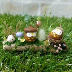 どんぐりアート フクロウ 小粒なフクロウ  雨色キノコとほわほわラグラス 流木のサムネイル