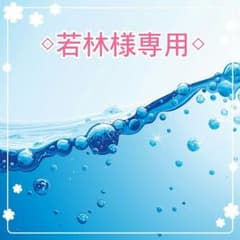 ◇若林様専用ページ◇のサムネイル