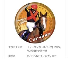 チェルヴィニア 2024年JRA賞ver. 缶バッジ - メルカリ