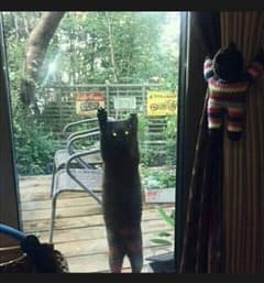 かみさま専用のサムネイル