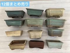 盆栽鉢　植木鉢　ミニ盆栽　12個まとめ売り　ガーデニング　陶器のサムネイル
