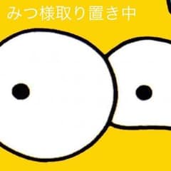 ワンピのサムネイル