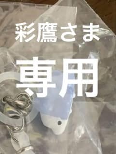 ポケモン　ユキハミ　プリンのサムネイル