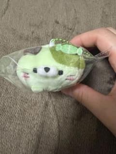 니가타 한정 모치후와!