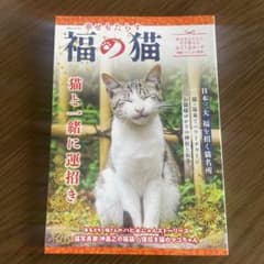 幸せもたらす 福の猫のサムネイル