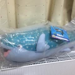 《最終値下げ！！》【未開封新品】一番くじ A賞デスティニー ドリーのサムネイル