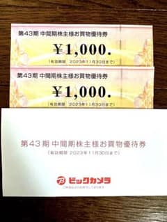 ビックカメラ株主優待券のサムネイル