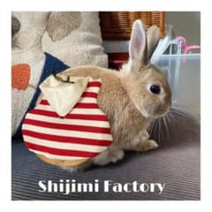 うさぎ用　ボーダーニットハーネスのサムネイル
