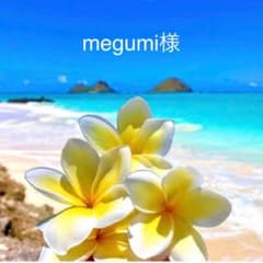 【megumi様専用】のサムネイル