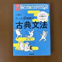 八澤のたった6時間で古典文法のサムネイル
