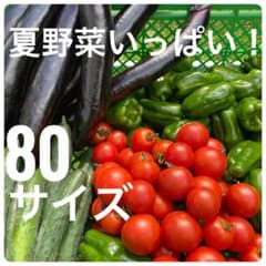採れたて新鮮 夏野菜セット 詰め合わせ 80サイズのサムネイル