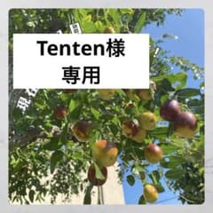 生なつめ　専用ページのサムネイル