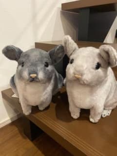 りあるあにまるず チンチラ 2つセットのサムネイル