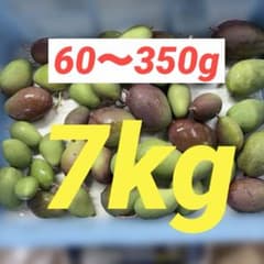 摘果マンゴー7kg - メルカリ