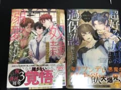転生先で奴隷を買ったら溺愛されたのサムネイル
