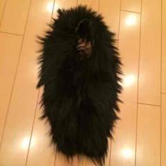 リップサービスファーのサムネイル
