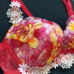 ワコール サルート D70のサムネイル