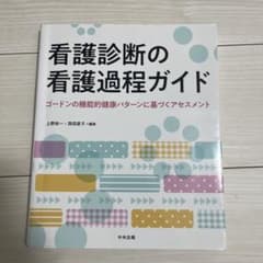 看護診断の看護過程ガイド : ゴードンの機能的健康パターンに基づくアセスメントのサムネイル