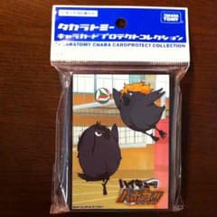 【さやりん様専用】バボカ!! プロテクター ヒナガラスver.のサムネイル