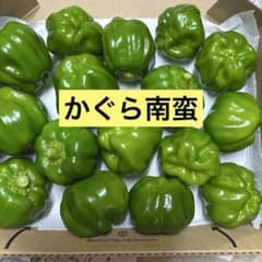 かぐら南蛮・16個入りのサムネイル