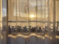 キンタ様専用のサムネイル