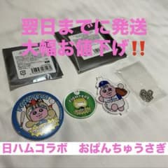 おぱんちゅうさぎ 北海道日本ハムファイターズ アクキー 缶バッジ 可哀想に！のサムネイル