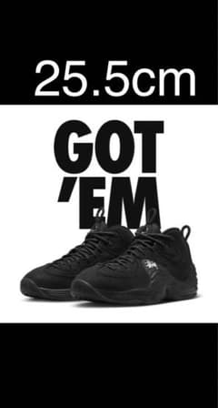 Stussy × Nike Air Penny 2 ナイキ エアペニー2のサムネイル