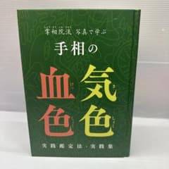 掌相院流 写真で学ぶ手相の気色血色 実践鑑定法・実践集 - メルカリ