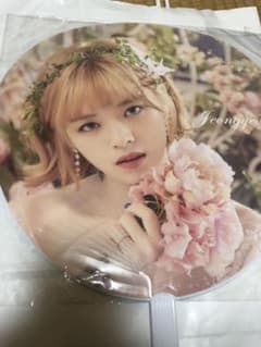 TWICEうちわ ジョンヨン Twicelandのサムネイル