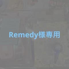 Remedy様専用ページのサムネイル