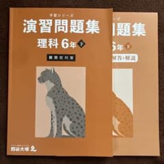演習問題集 理科 6年 下 難関校対策 四谷大塚 - メルカリ