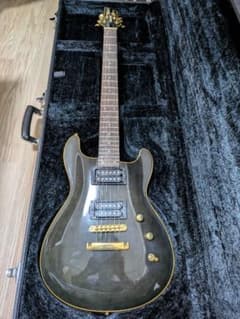 FERNANDES APG 100 24F仕様 - メルカリ