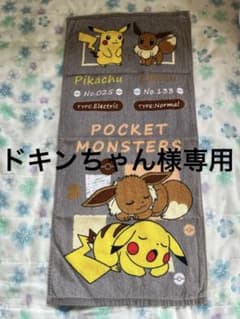 フェイスタオル　小さめフェイスタオル　ポケモン　ピカチュウ　イーブイ タオルのサムネイル