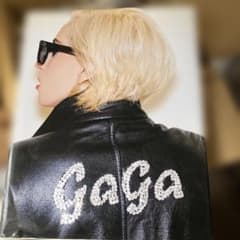 ハードカバー豪華版 レディー・ガガ×テリー・リチャードソン写真集のサムネイル