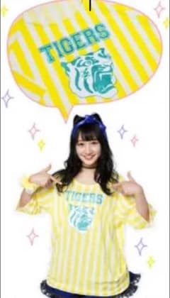 なぎなぎさん専用 阪神タイガース グッズ TORACO DAYのサムネイル
