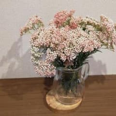 トトロ様専用☆ライスフラワーのサムネイル