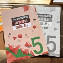 中学受験新演習 漢字日記 国語小5下のサムネイル